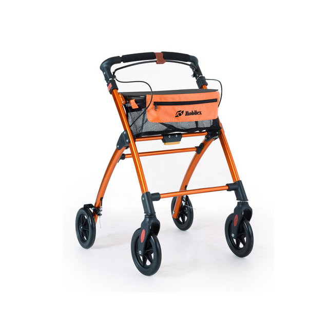deambulatore-rollator-jaguar-13817