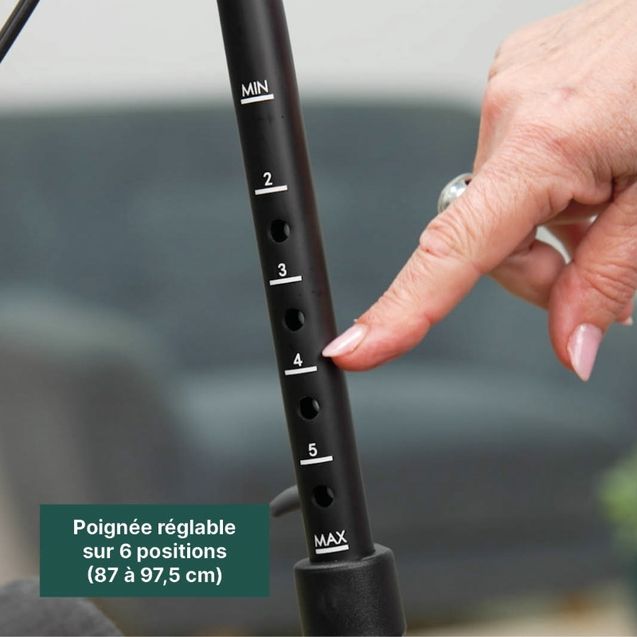 rollator-per-spesa-rest-n-roll-24329