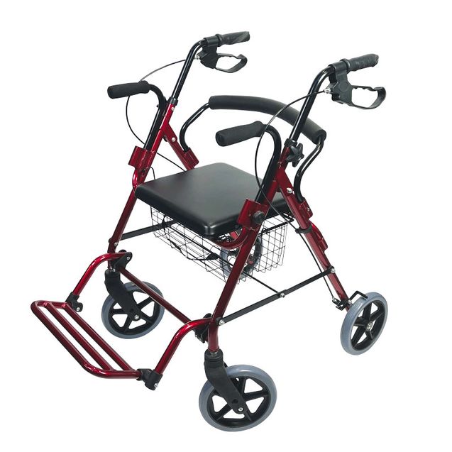 victor-rollator-carrozzina-22113