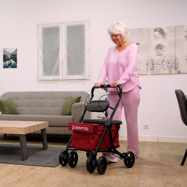rollator-per-spesa-rest-n-roll-24329