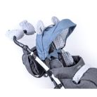 mywam-set-decorazioni-grizzly-23749