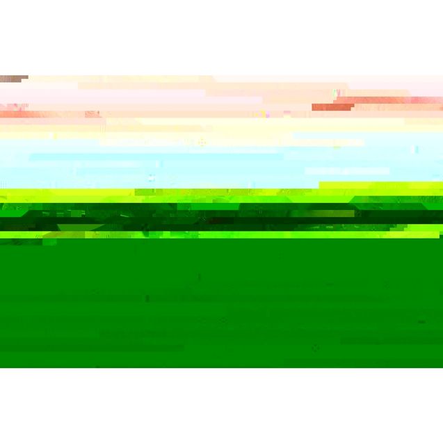 actreen-lite-nelaton-ch14-lungh-45-cm-scx30-0004755