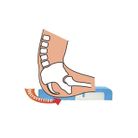 cuscino-viscoflex-plus-11554