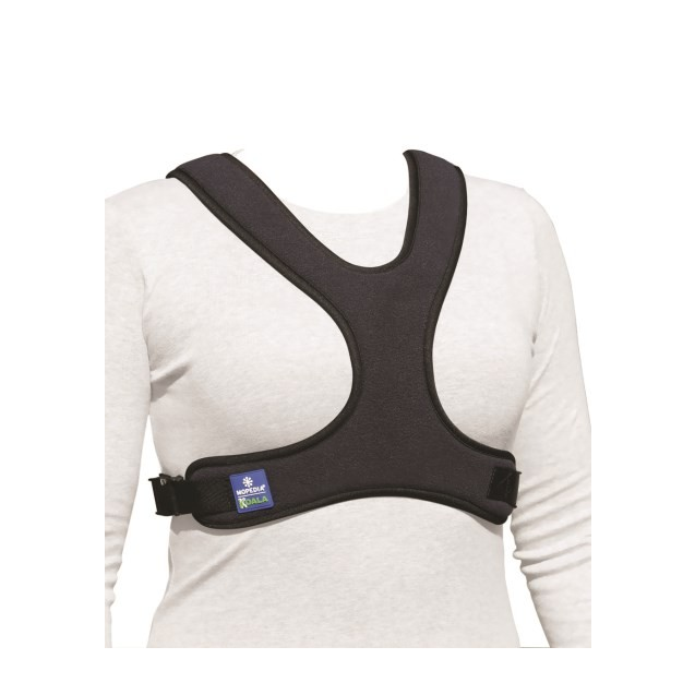 cintura-pettorale-a-corpetto-a-farfalla-rp215-rp215