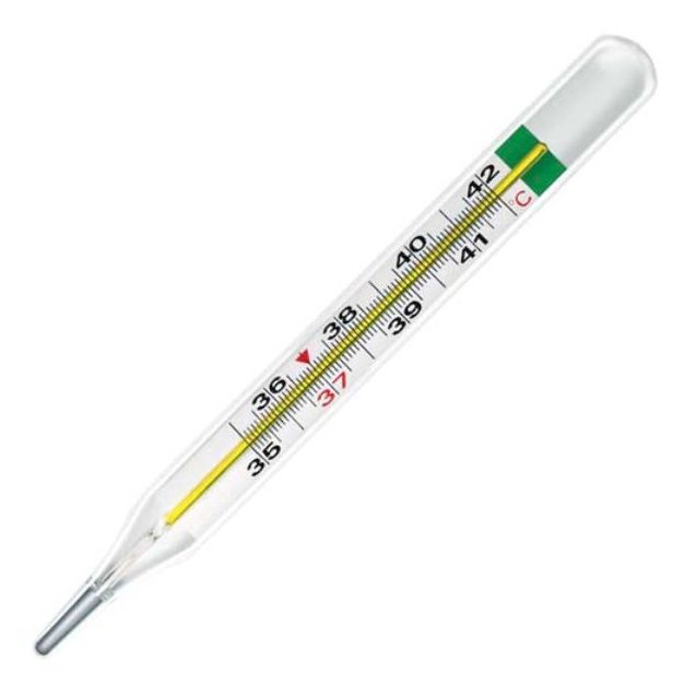 termometro-thermo-green-al-gallio-22169