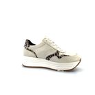 cinzia-soft-scarpa-donna-con-lacci-e-zip-art-iv7822437-22602