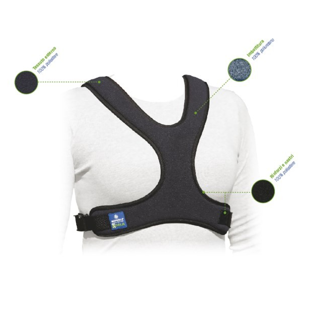 cintura-pettorale-a-corpetto-a-farfalla-rp215-rp215