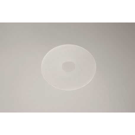 AMOENA CURASCAR CERCHIO - CEROTTO PER CICATRICI (CFX2PZ)