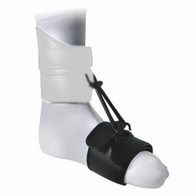 podartis-dictus-telemento-b-15013