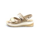 ecosanit-sandalo-donna-con-doppio-strec-plus-cin-fibbia-art-bonsai-235277-23953