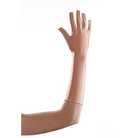 cicatrex-indumenti-standard-per-mano-3448-0x