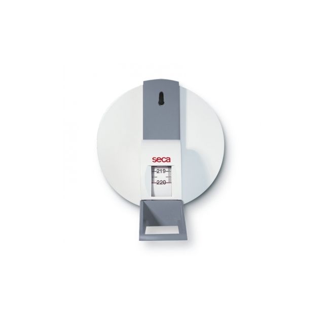 misuratore-da-parete-meccanico-seca-206-21273