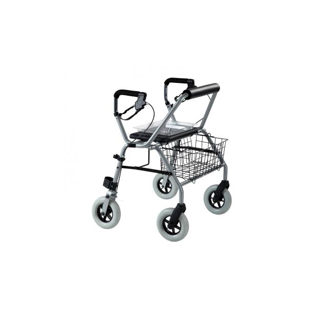 deambulatore-rollator-bariatrico-kiev-20029303