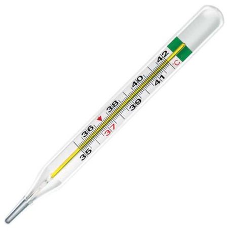 TERMOMETRO THERMO GREEN AL GALLIO