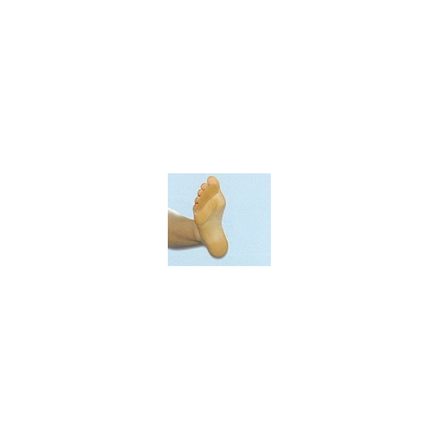 supporto-per-dita-a-martello-cc-226-12650