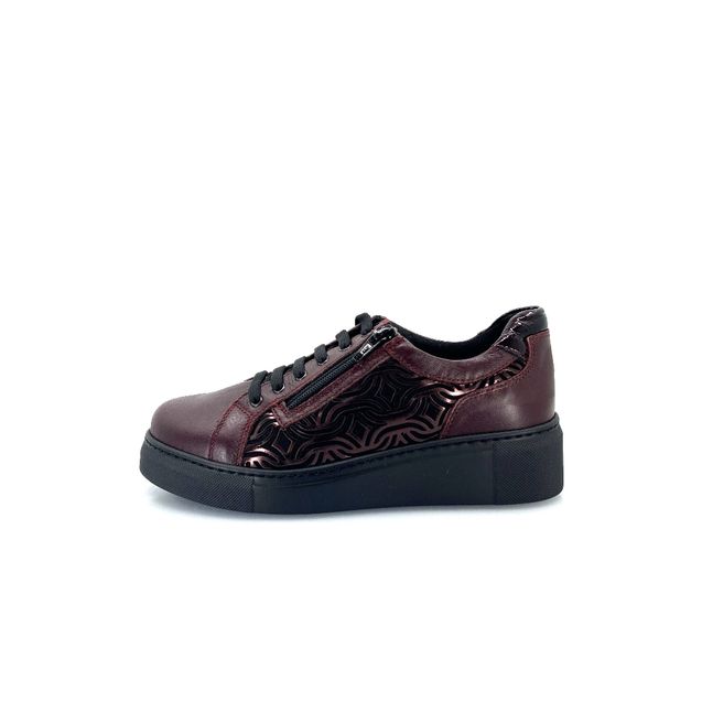 loren-scarpa-donna-con-lacci-e-zip-art-m3109-22549