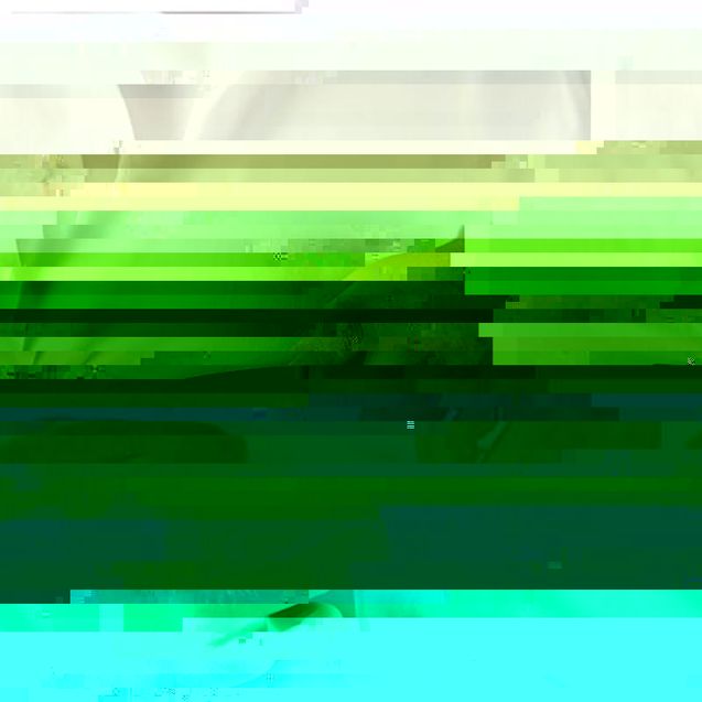 infilabottoni-0029448