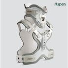 aspen-minerva-cto-aspen-cto